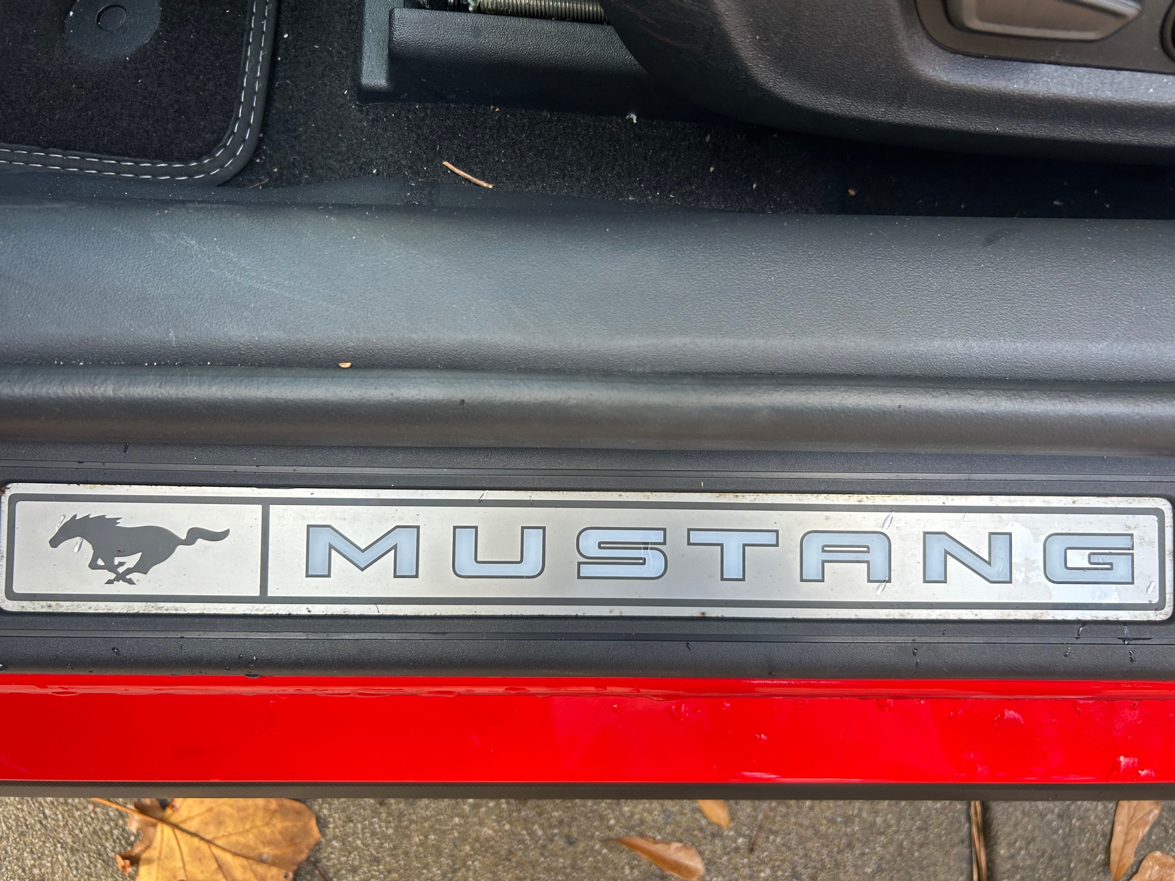 Mustang Door Sill - before