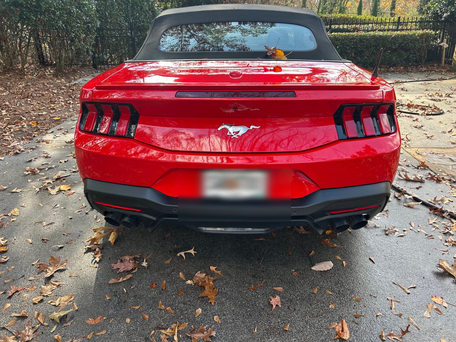Mustang Convertible - after
